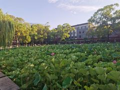-四川大学(望江校区)