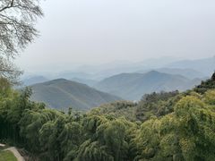 -莫干山风景区