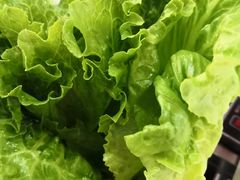 -陈记顺和潮汕牛肉火锅(番禺迎宾大道店)