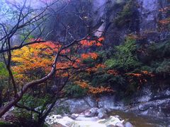 -青峰峡国家森林公园