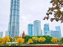 -陆家嘴中心绿地