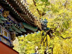 -潭柘寺景区