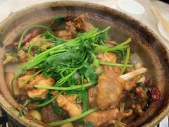 招牌家鸡煲-渝君重庆火锅(嘉宾路店)