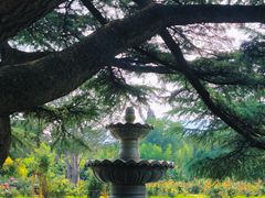 -国家植物园南园