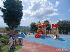 -铁山坪森林公园