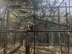 -五龙山野生动物王国