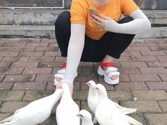 -飞来湖湿地公园