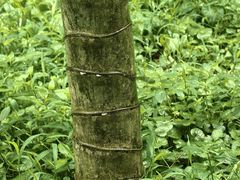 -黄公望隐居地