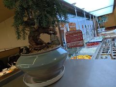 -海底捞火锅(赛格国际购物中心店)