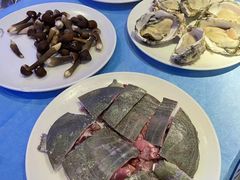 -千岛蚝高压锅生蚝·人参火锅(白云万达店)