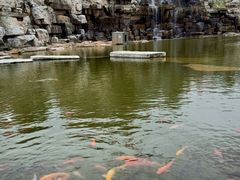 -雪山彩虹谷景区