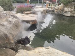 -静之湖度假区