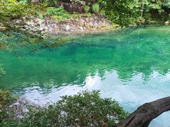 -石台牯牛降景区