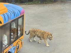 -大连森林动物园