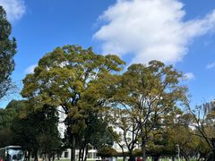 -云南师范大学(一二一西南联大校区)