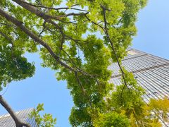 -人民公园(罗湖区)