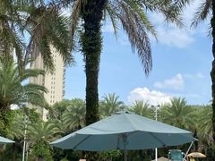 -碧桂园润杨溪谷温泉酒店