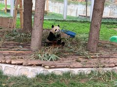 -西安秦岭野生动物园