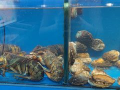 -威海九禧海鲜居渔水饺(经区店)