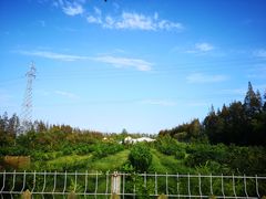 -上海长兴岛郊野公园