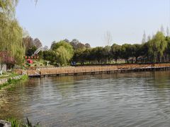 -渌洋湖湿地公园