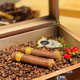 神明偏爱 一切从欢｜庭院日料omakase