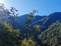 -阳台山自然风景区