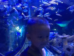 -成都浩海立方海洋公园