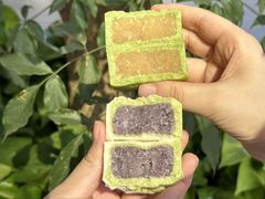 -沁园(南坪上海城店)