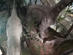 -湖南省地质博物馆