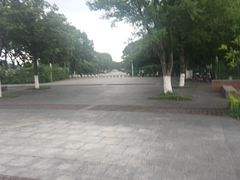 -九里河湿地公园