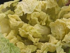 -九孔·筒骨莲藕汤锅(大明宫万达店)