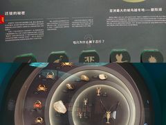 -中国湿地博物馆