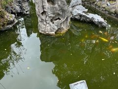 -七宝老街-闵行市民文化广场