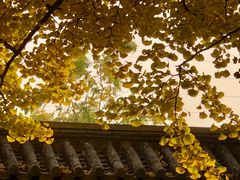 -钓鱼台国宾馆
