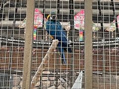 -南宫五洲植物乐园