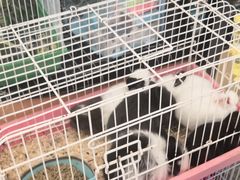 -新田360广场(上海华侨城店)