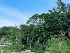 -广州市帽峰山景区