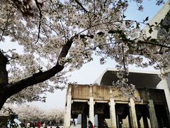 -龙美术馆西岸馆-停车场