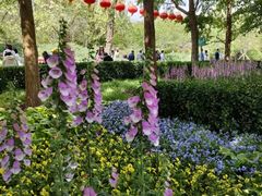 -无名居(西直门总店)