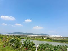 -光明小镇欢乐田园