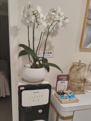 -海涛医疗美容·面部抗衰·注射美鼻