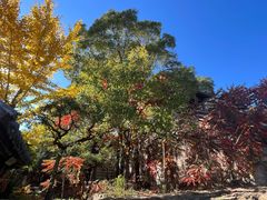 -云峰山自然风景区