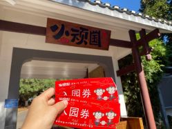 -长沙小顽国景区