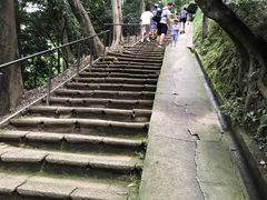 -岚山猴子公园