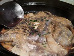 -人间酒暖·Go blanc·烧鸟·深夜食堂(陆家嘴店)