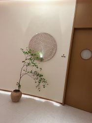 -依霖·艺术·SPA