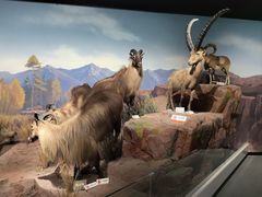 -陕西自然博物馆