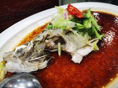 -万年酒楼(越秀南路店)