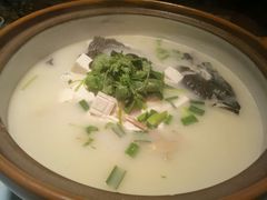 -姜君·千岛湖鱼头馆(浦东大道店)